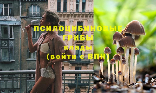 винт Вязники